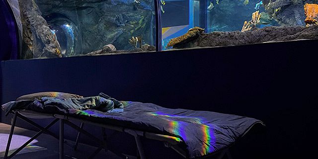 Sleep with sharks odysseo (3)
